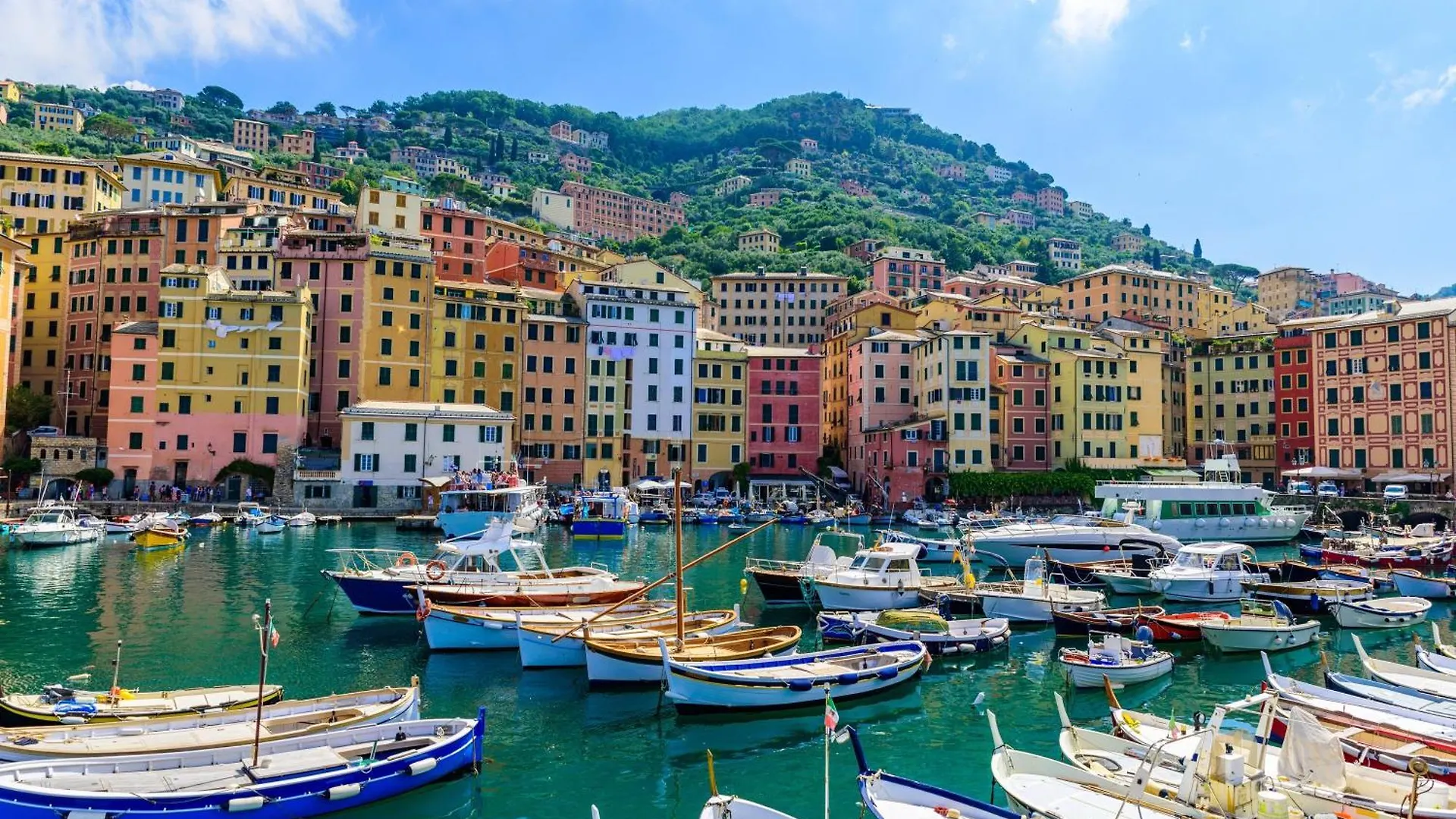 Sea View Apartment Camogli Hill - Happy Rentals